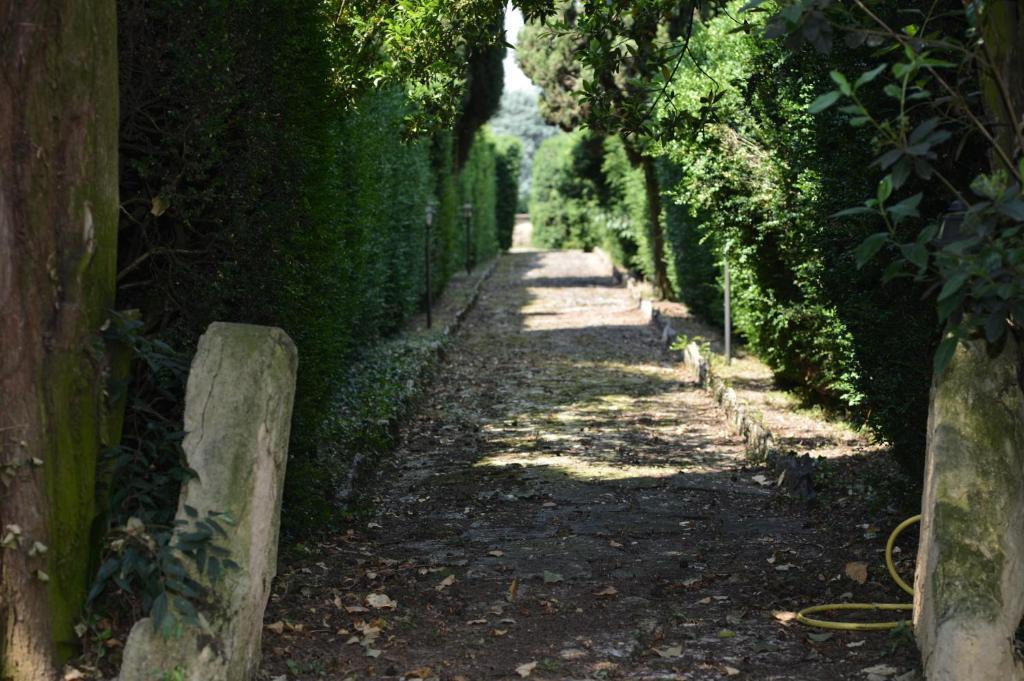 סאן פייטרו אין קריאנו Relais Villa San Matteo מראה חיצוני תמונה